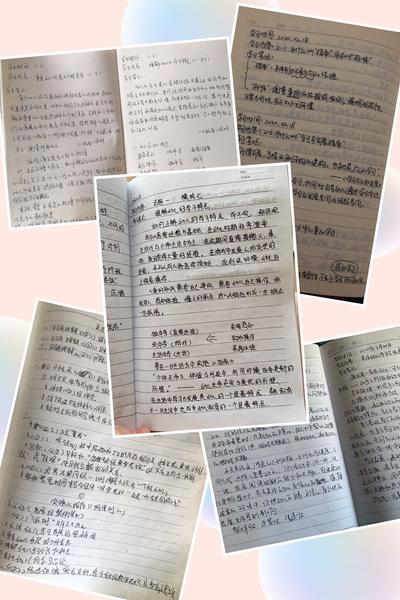小班化教育的优势与挑战，最新教育笔记小班探索与洞见