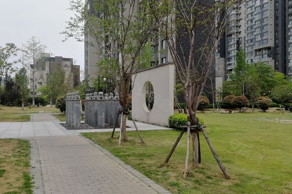 洛阳建业桂园最新评价与反馈