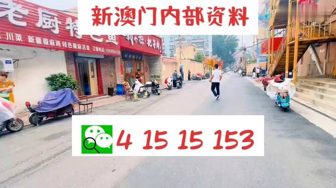 2024年新澳门天天开好彩大全,安全设计解析说明法_仿真版88.988