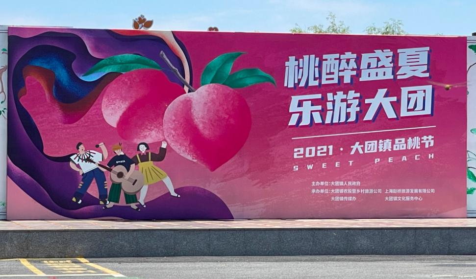南汇桃子上市，小巷深处的甜蜜果实