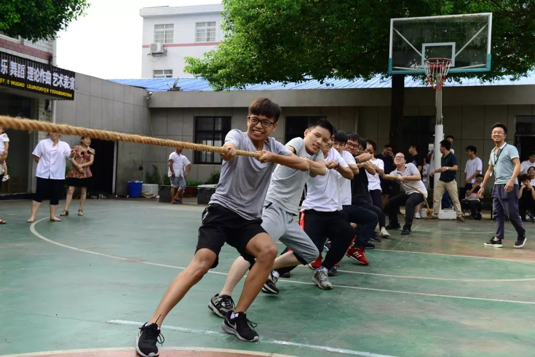 拔河比赛的激情瞬间，团队之美