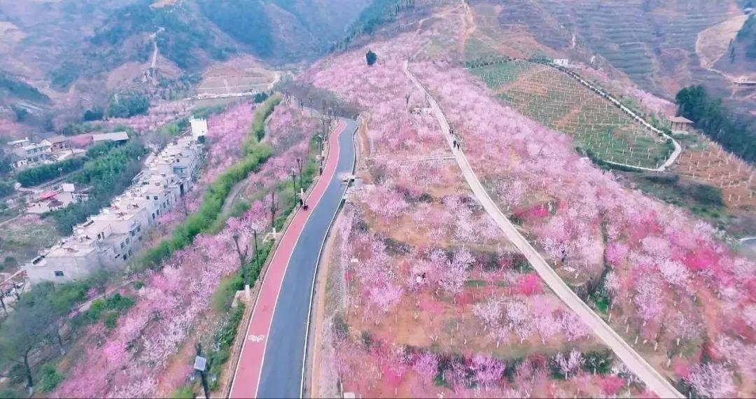 山阳通最新动态，科技引领智能新时代，重塑生活新篇章