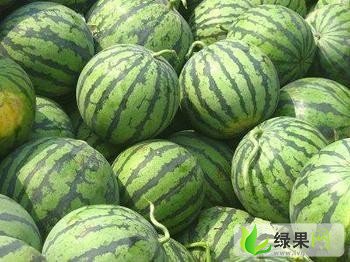 开封西瓜价格最新动态，市场行情速递
