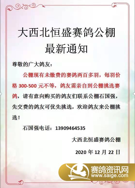 国盛公棚最新通告及任务完成与技能学习指南