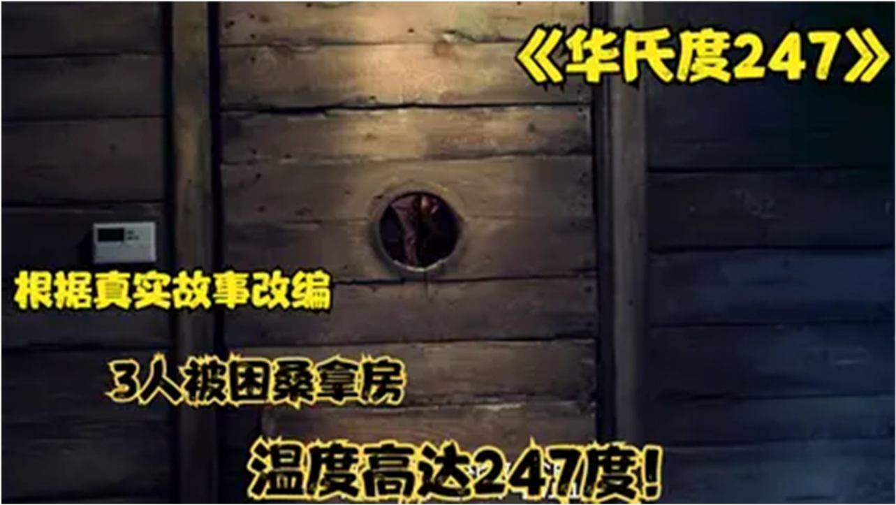 华氏247度电影，时代烙印与独特艺术表达