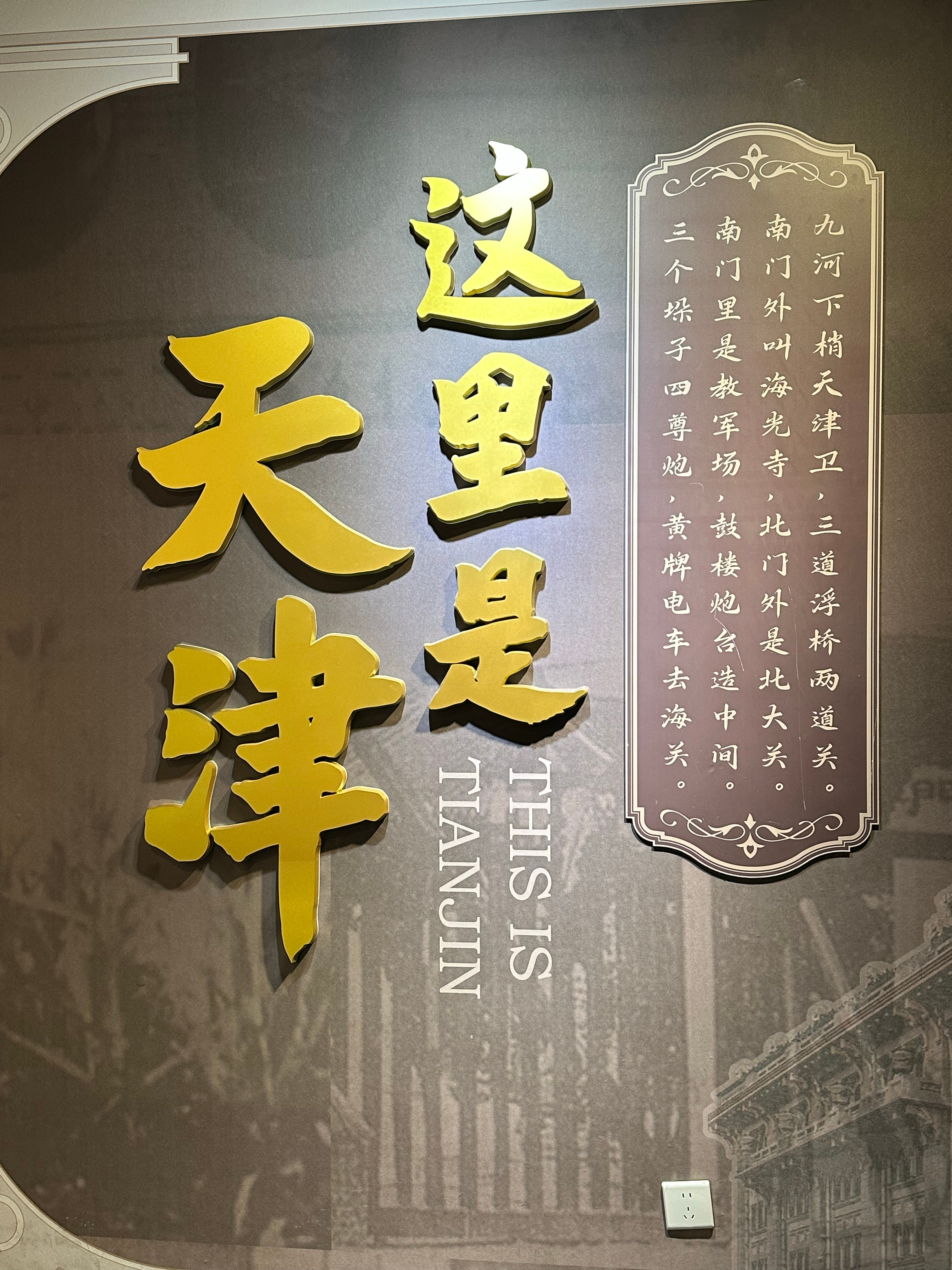 天津最新宝岛，未来城市探索的新地标