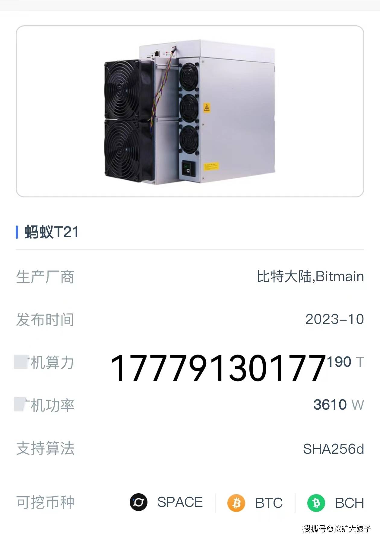 最新蚂蚁bt，网络传输方式的探讨与观点分析